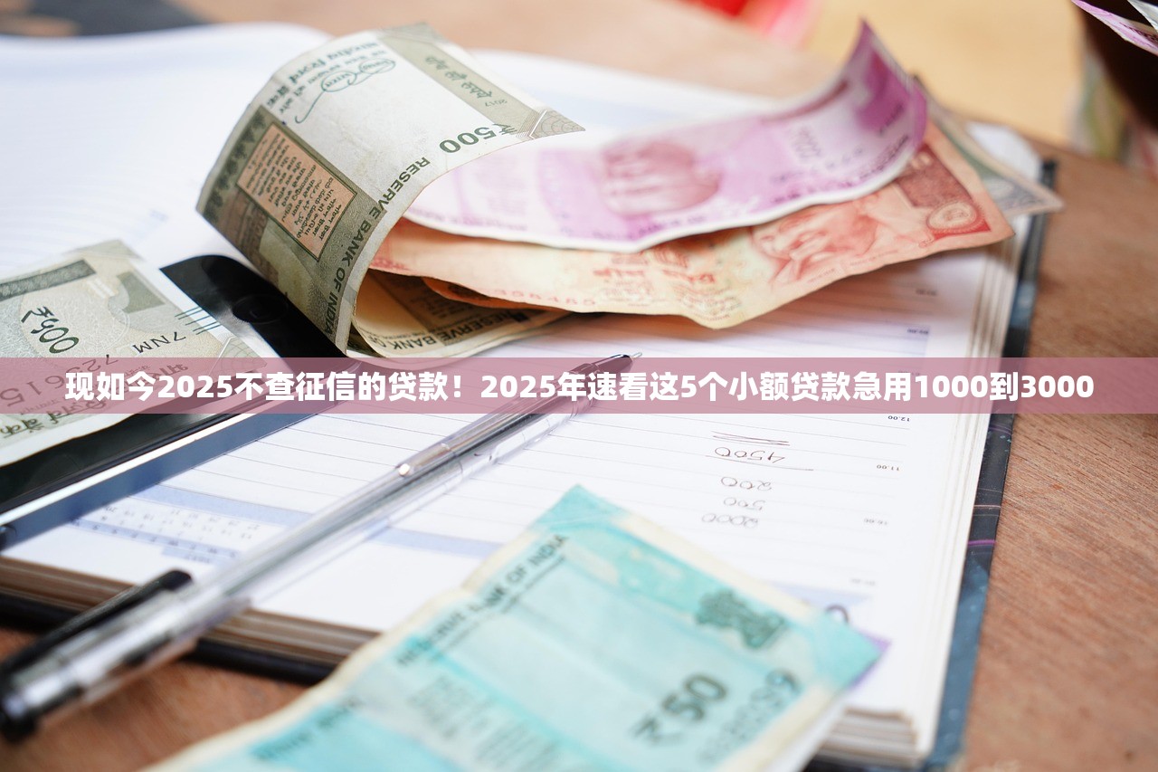 现如今2025不查征信的贷款！2025年速看这5个小额贷款急用1000到3000