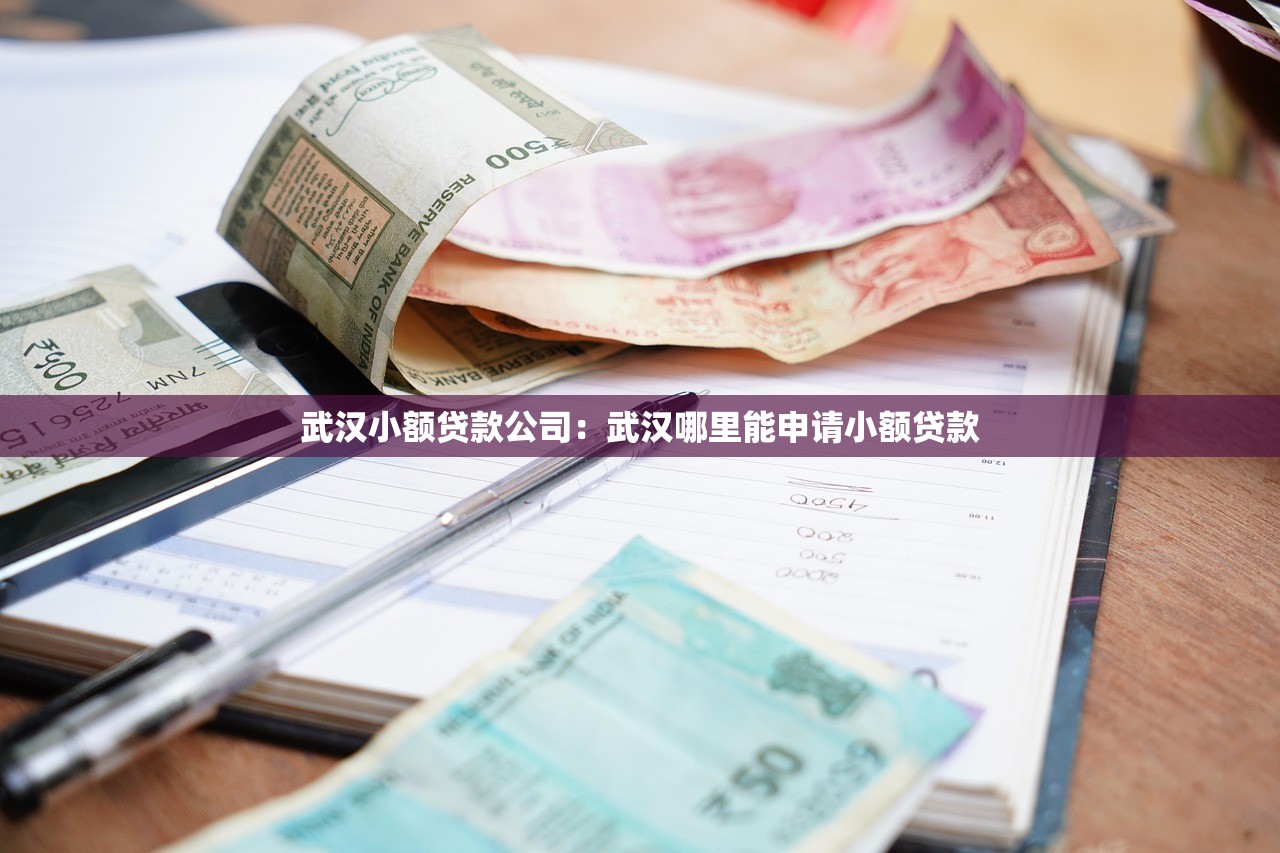 武汉小额贷款公司：武汉哪里能申请小额贷款