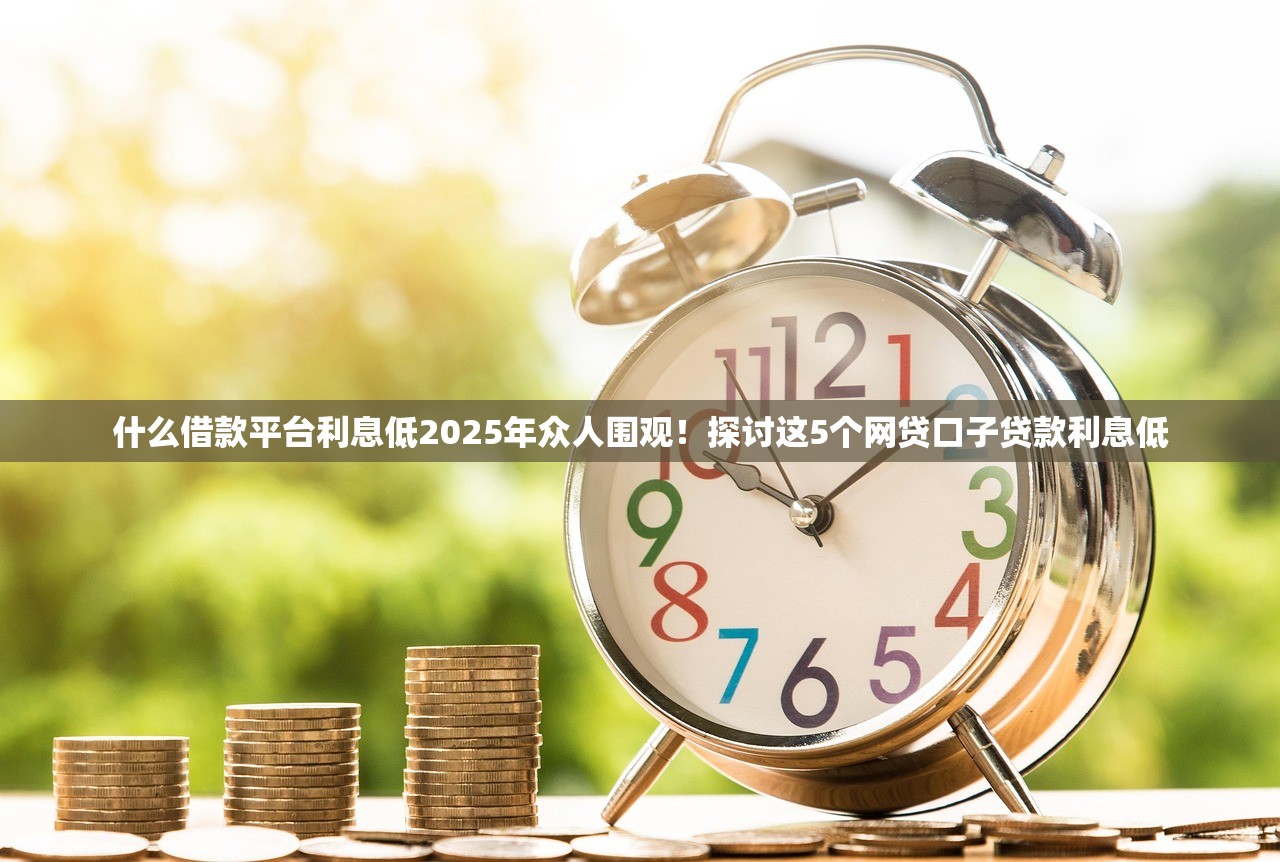 什么借款平台利息低2025年众人围观！探讨这5个网贷口子贷款利息低