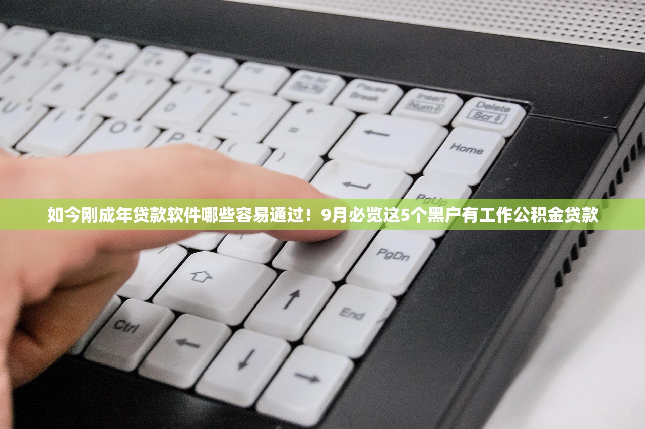 如今刚成年贷款软件哪些容易通过！9月必览这5个黑户有工作公积金贷款