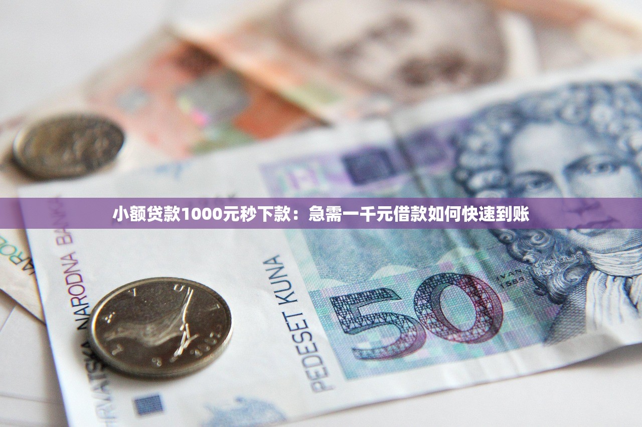 小额贷款1000元秒下款：急需一千元借款如何快速到账