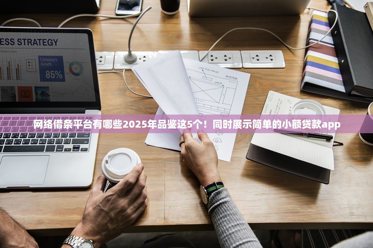 网络借条平台有哪些2025年品鉴这5个！同时展示简单的小额贷款app