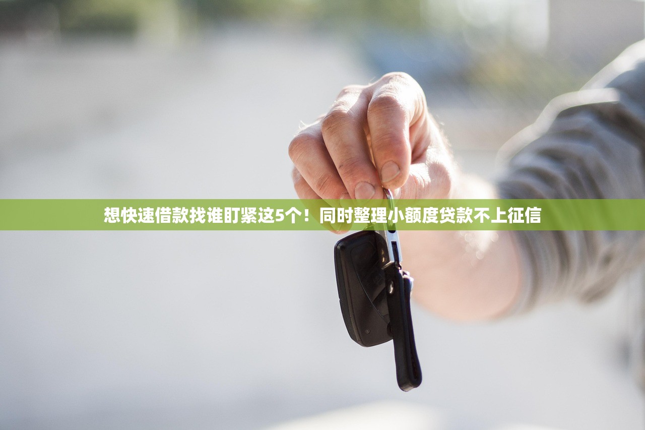 想快速借款找谁盯紧这5个！同时整理小额度贷款不上征信