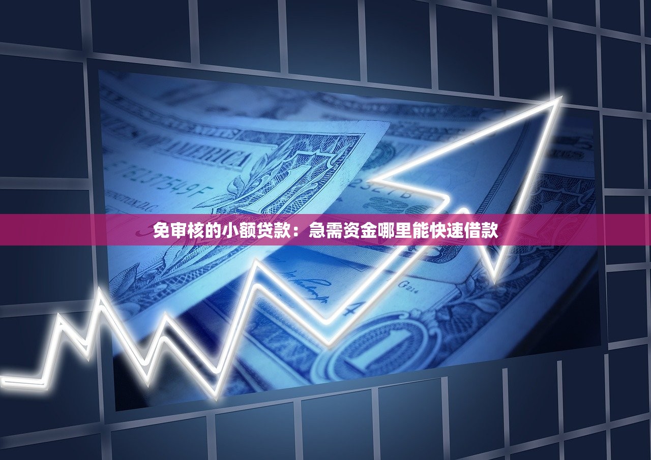 免审核的小额贷款：急需资金哪里能快速借款