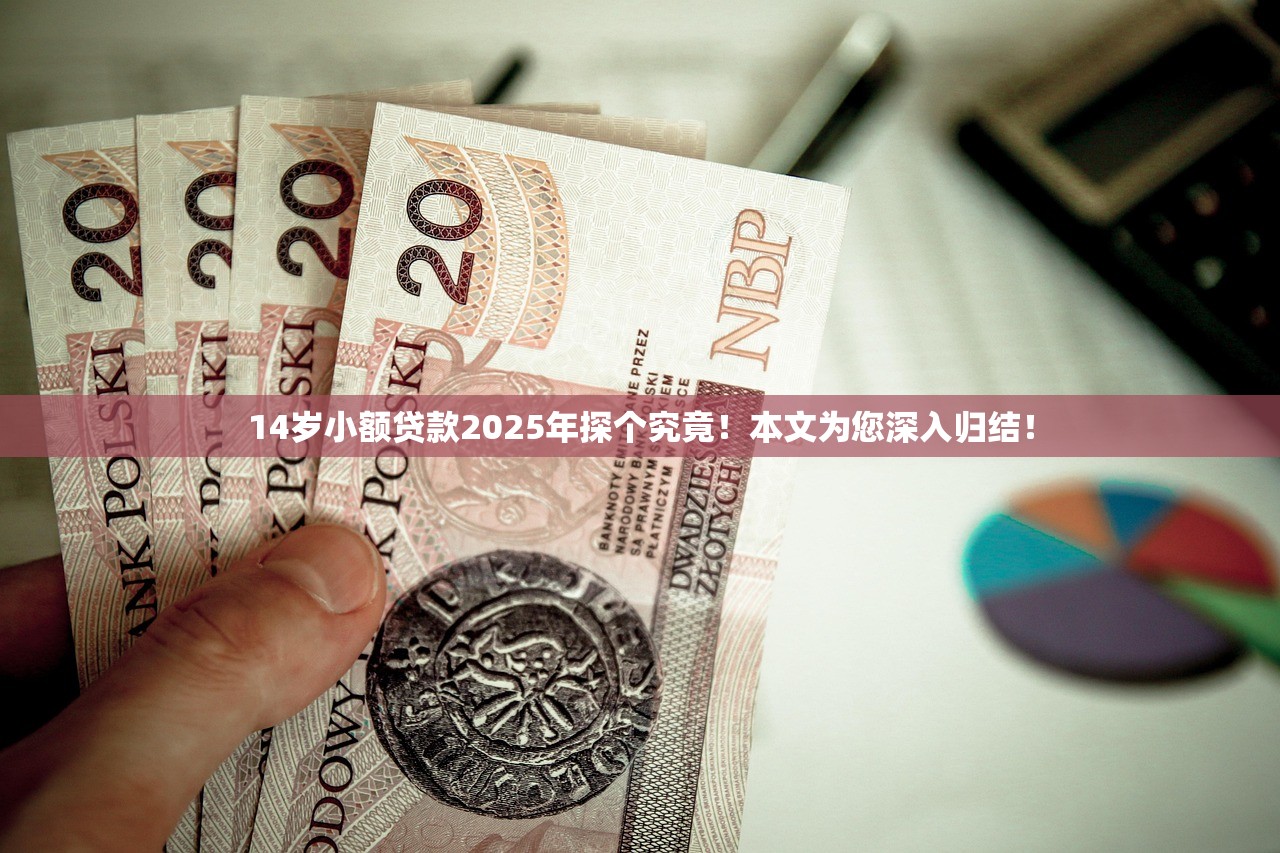 14岁小额贷款2025年探个究竟！本文为您深入归结！