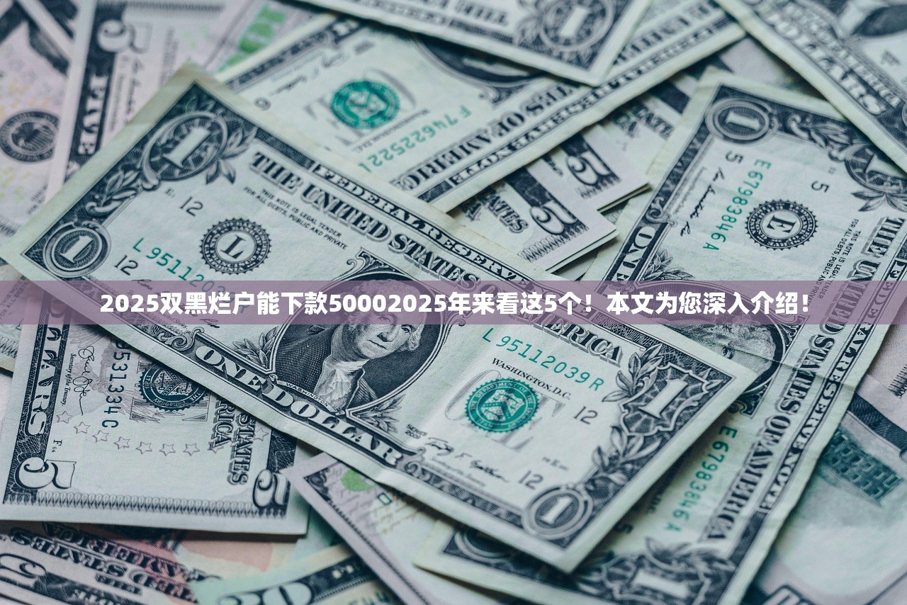 2025双黑烂户能下款50002025年来看这5个！本文为您深入介绍！