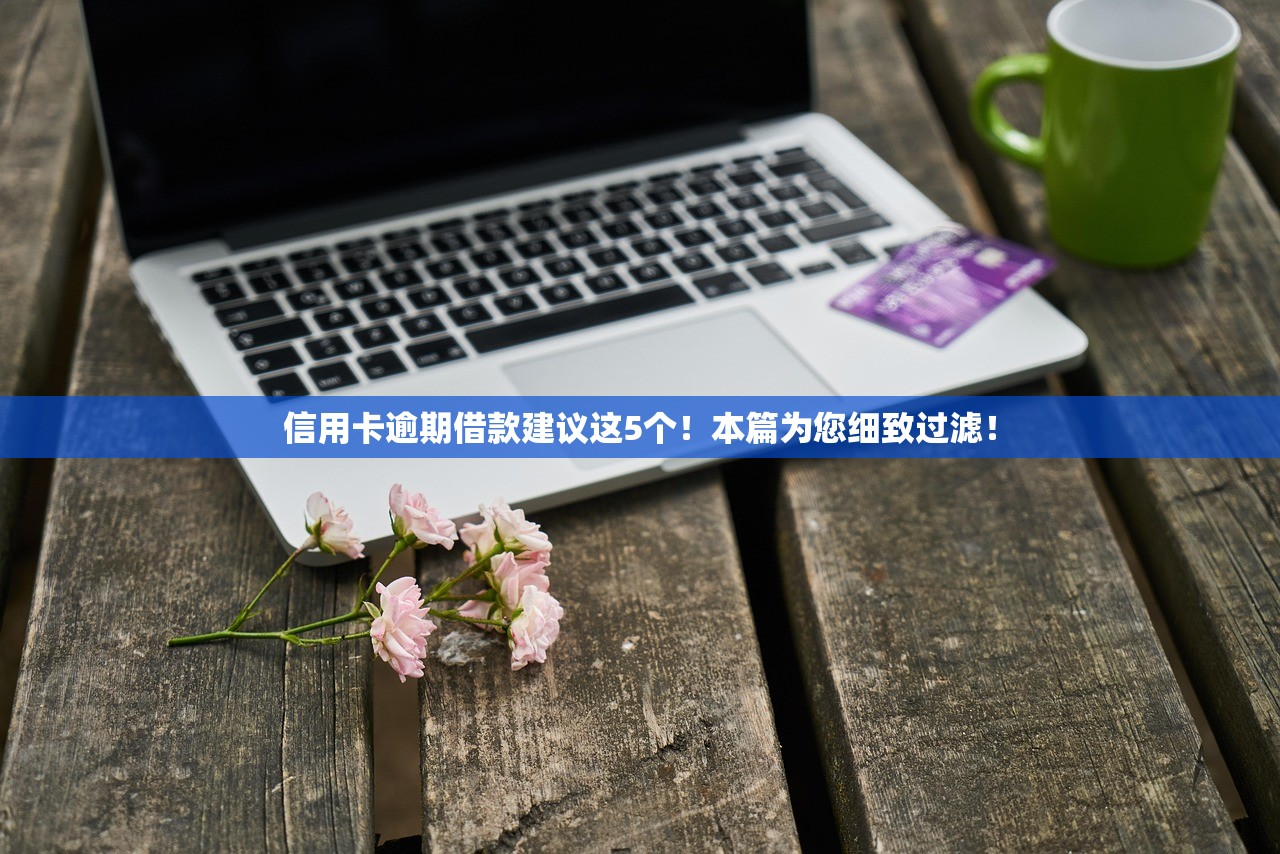 信用卡逾期借款建议这5个！本篇为您细致过滤！