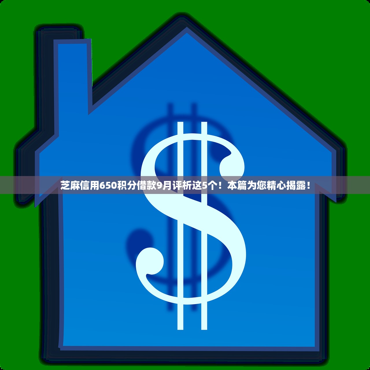 芝麻信用650积分借款9月评析这5个！本篇为您精心揭露！