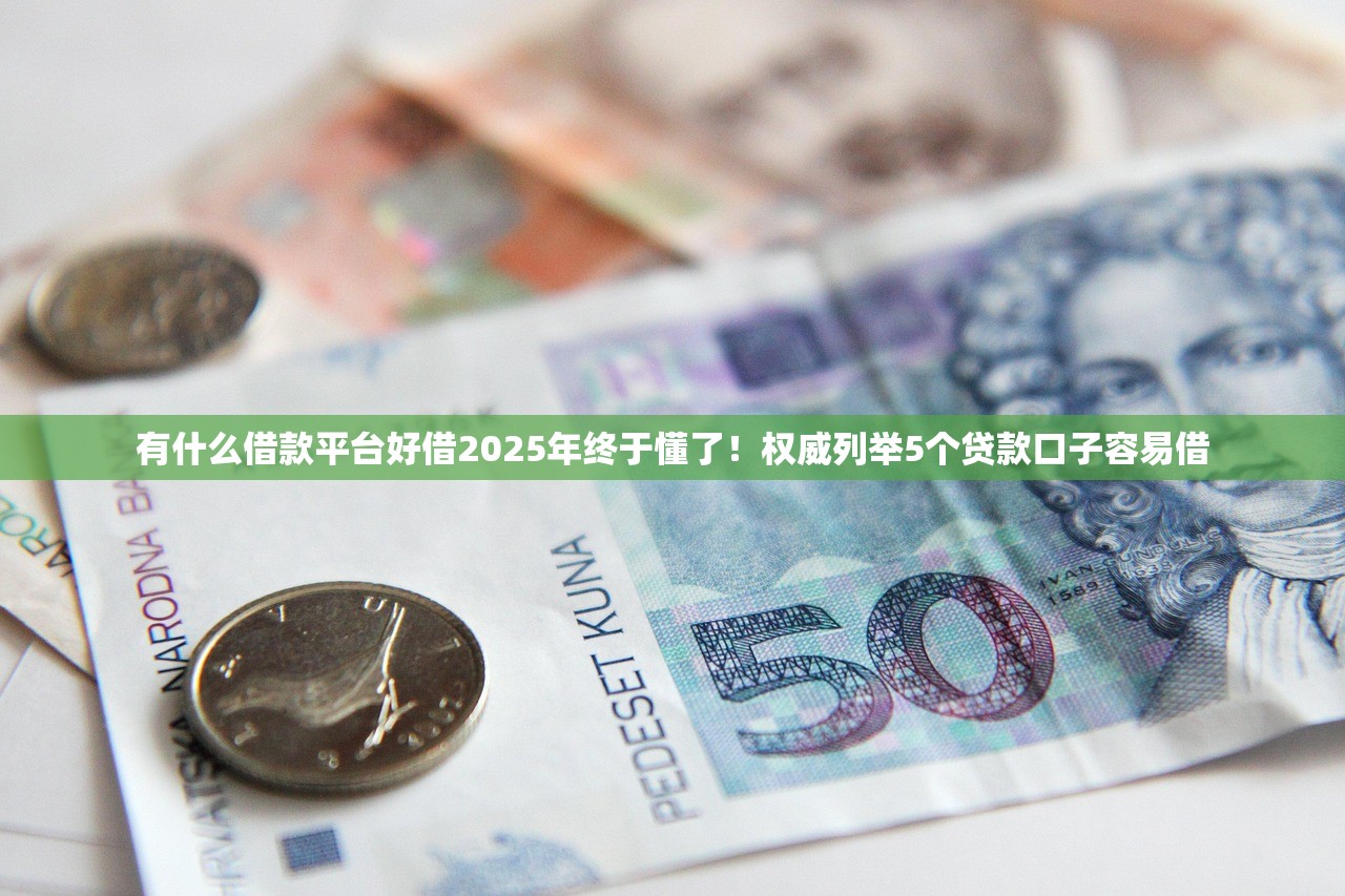 有什么借款平台好借2025年终于懂了！权威列举5个贷款口子容易借