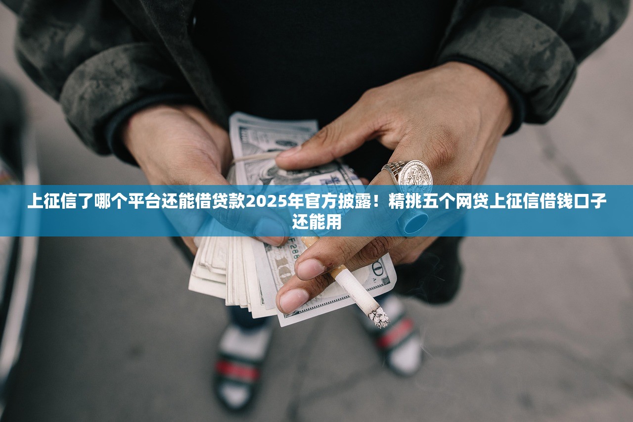上征信了哪个平台还能借贷款2025年官方披露！精挑五个网贷上征信借钱口子还能用