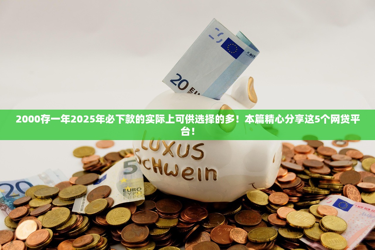 2000存一年2025年必下款的实际上可供选择的多！本篇精心分享这5个网贷平台！