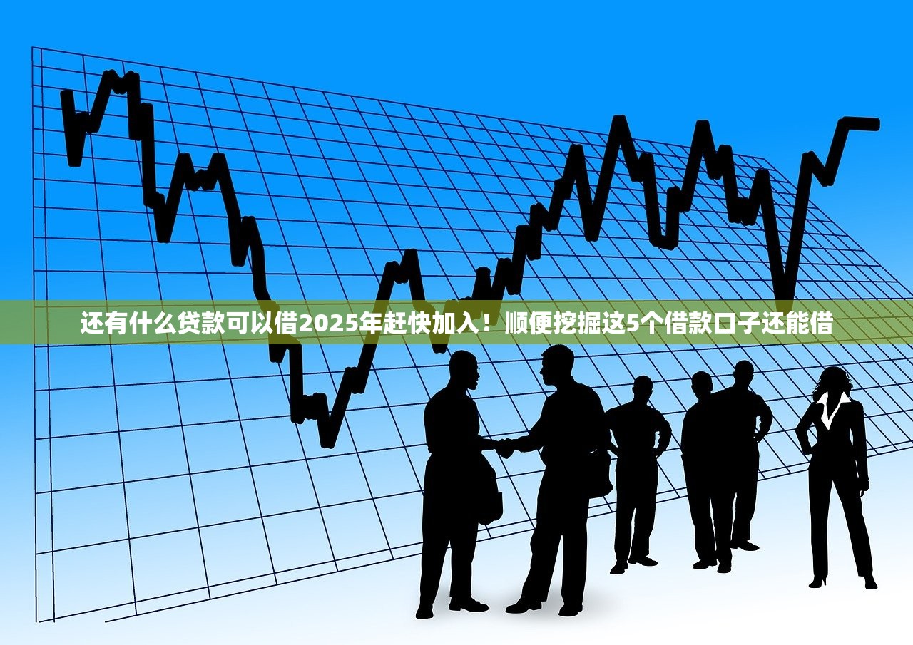 还有什么贷款可以借2025年赶快加入！顺便挖掘这5个借款口子还能借