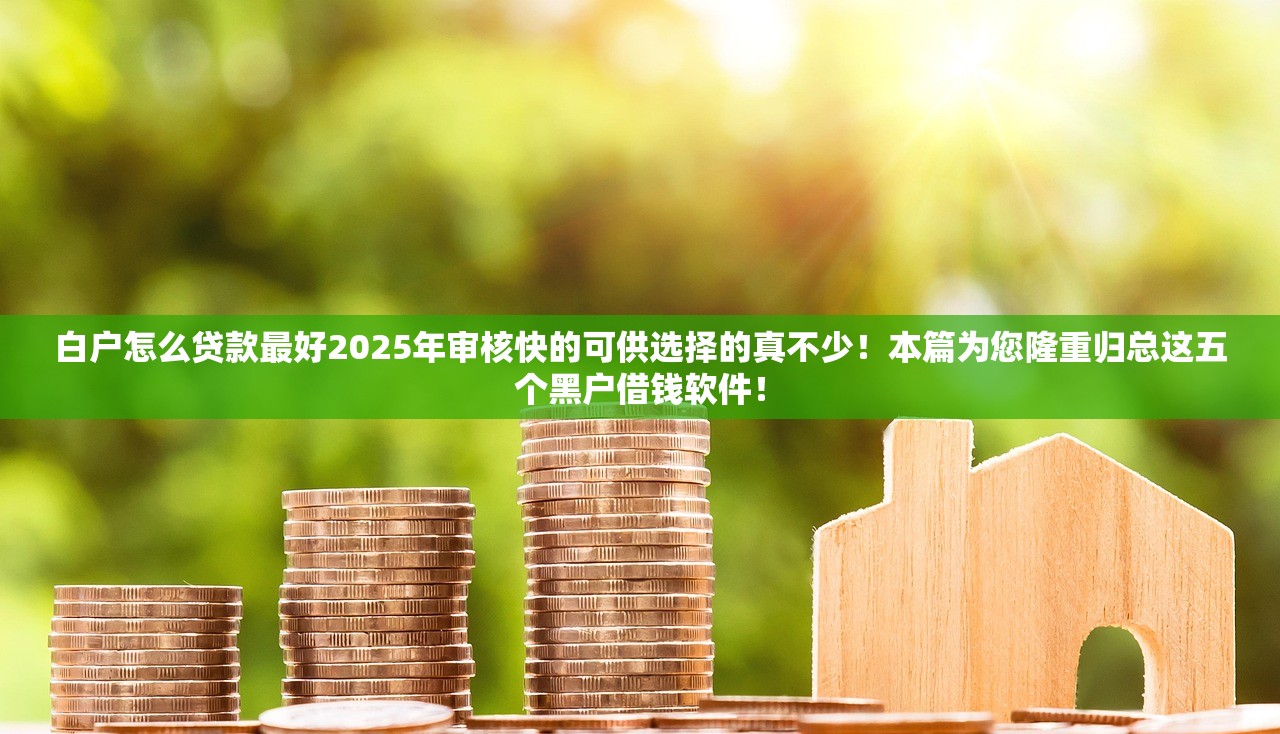 白户怎么贷款最好2025年审核快的可供选择的真不少！本篇为您隆重归总这五个黑户借钱软件！