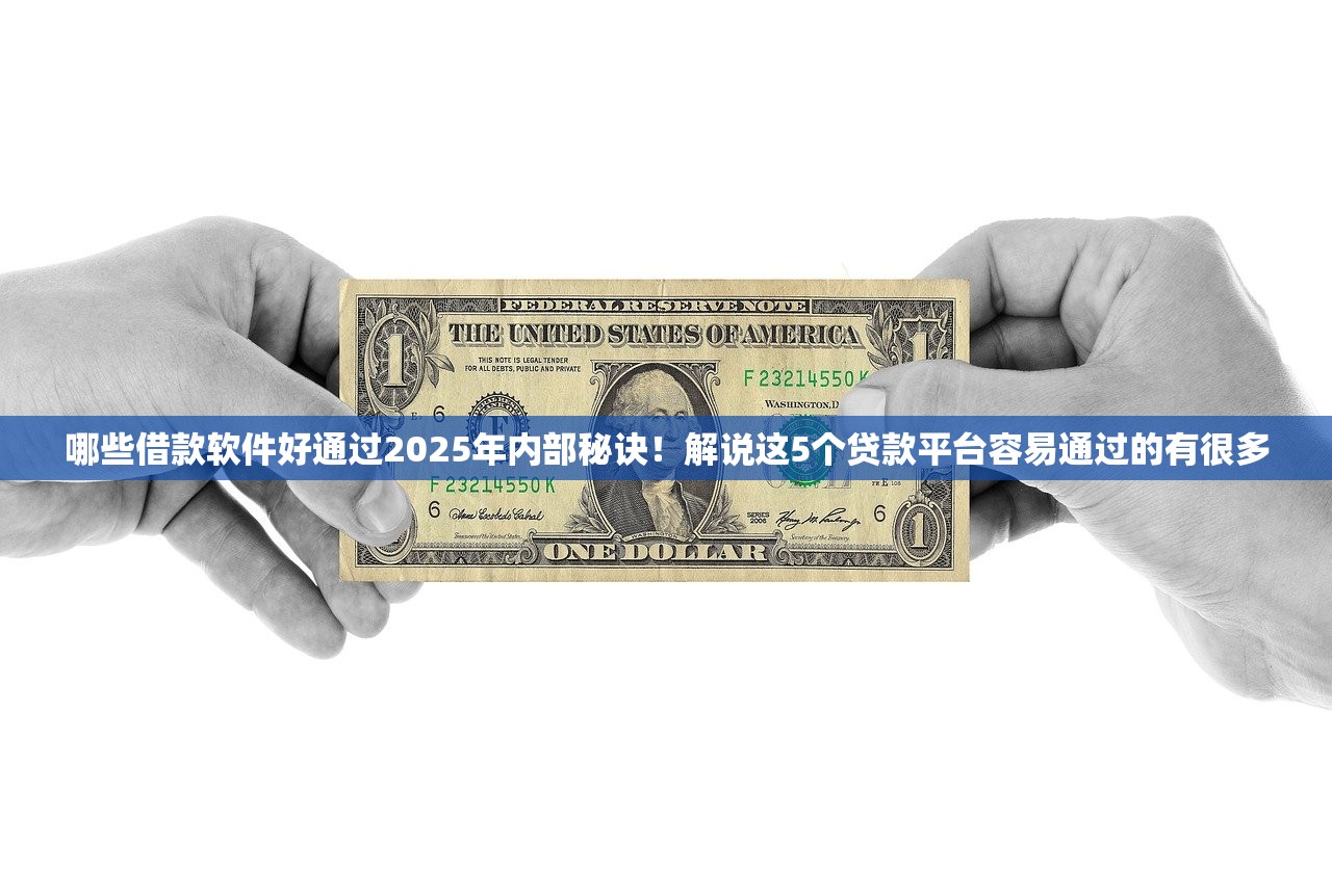 哪些借款软件好通过2025年内部秘诀！解说这5个贷款平台容易通过的有很多