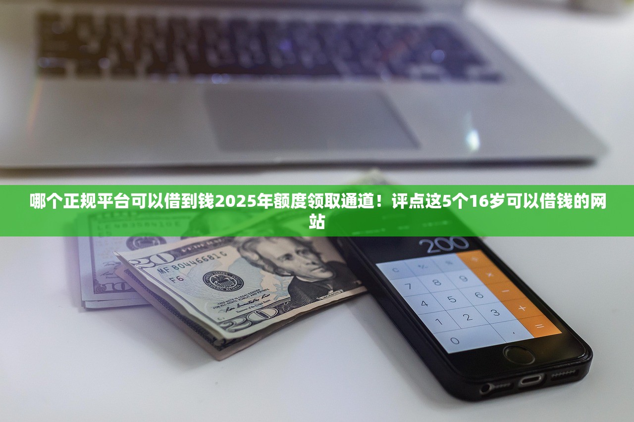哪个正规平台可以借到钱2025年额度领取通道！评点这5个16岁可以借钱的网站