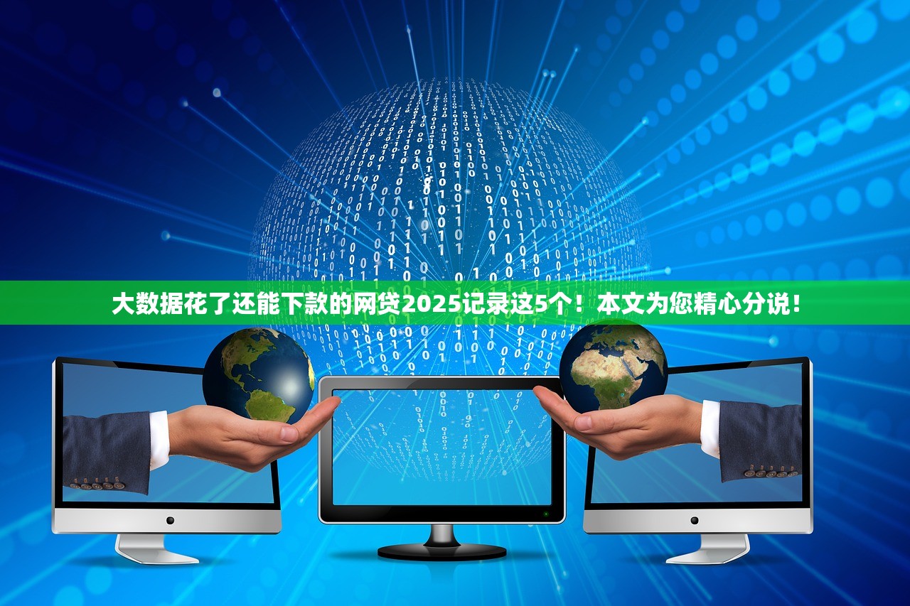 大数据花了还能下款的网贷2025记录这5个！本文为您精心分说！