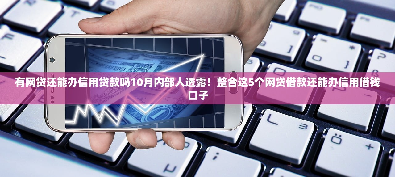 有网贷还能办信用贷款吗10月内部人透露！整合这5个网贷借款还能办信用借钱口子
