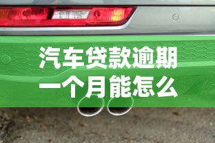 汽车贷款逾期一个月能怎么样：车贷逾期30天后果严重吗