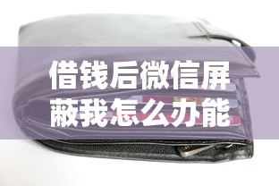 借钱后微信屏蔽我怎么办能借到钱吗？1000元无门槛借款6个平台推荐
