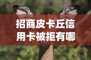 招商皮卡丘信用卡被拒有哪些？分享10个可靠的p2p网贷平台
