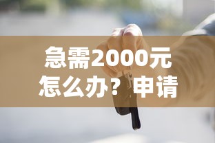 急需2000元怎么办？申请购车贷款被拒怎么办试试这6个无门槛平台