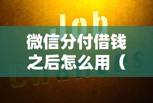 微信分付借钱之后怎么用（最新发布！）5个贷款大平台