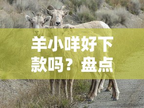 羊小咩好下款吗？盘点7个跟安逸花差不多的平台给你参考
