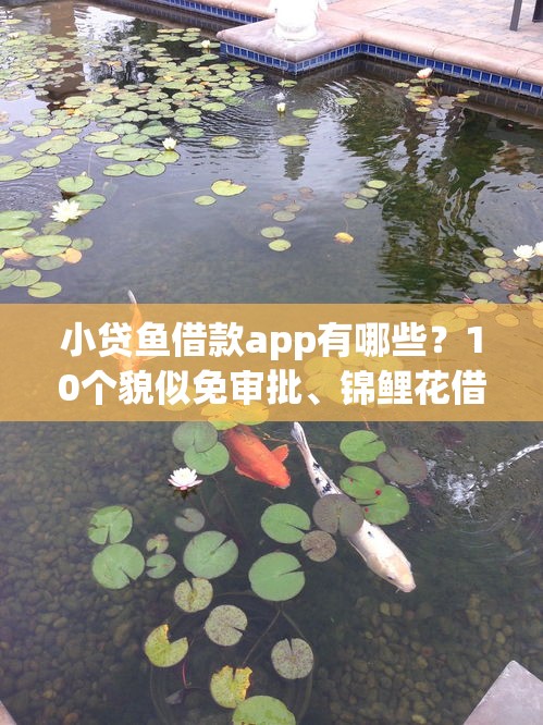 小贷鱼借款app有哪些？10个貌似免审批、锦鲤花借款一样的平台合集