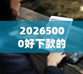 20265000好下款的，差1000元就选这5个平台