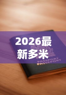 2026最新多米易购贷款申请被拒怎么办（支持微信），6个网贷大数据平台无私分享