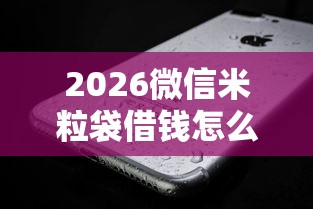 2026微信米粒袋借钱怎么借，差2000元就选这7个平台