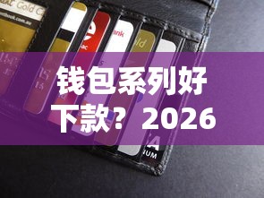 钱包系列好下款？2026最新测评10个可靠的贷款平台