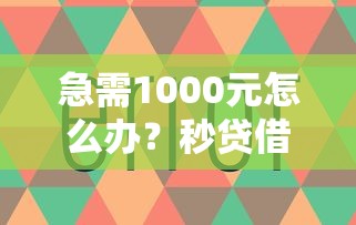 急需1000元怎么办？秒贷借款怎么样试试这6个无门槛平台