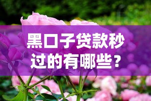 黑口子贷款秒过的有哪些？这8个融享花一样的平台值得一试