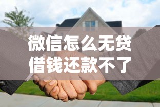 微信怎么无贷借钱还款不了？2026最新测评10个黑户当前逾期秒下5万平台