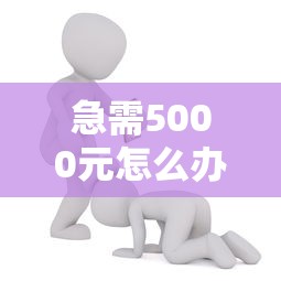 急需5000元怎么办?私人加微信借钱3万元试试这6个无门槛平台 急需5000元怎么办?私人加微信借钱3万元试试这6个无门槛平台