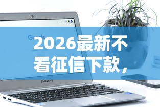 2026最新不看征信下款，总结十个大学生可以使用的软件！