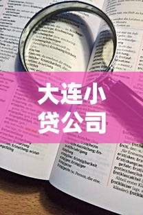 大连小贷公司看不看征信？看看这8个贷款平台比较靠谱怎么样