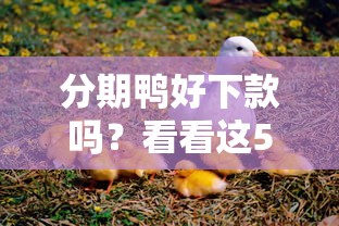 分期鸭好下款吗？看看这5个贷款平台有没有能下款的