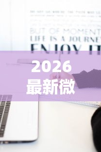 2026最新微信加人借钱，总结十个平台征信花可以下款！
