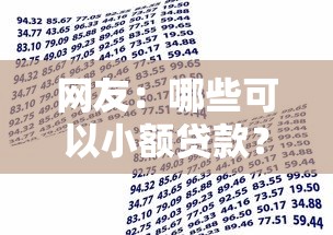 网友：哪些可以小额贷款？求介绍几款贷款平台小额贷款不看征信