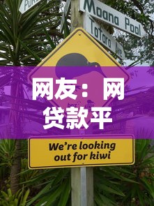 网友：网贷款平台哪个不看征信？求介绍几款有没有不查征信的贷款平台