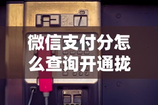 微信支付分怎么查询开通拢共有哪些选择？8个有适合60一65岁的贷款平台详解