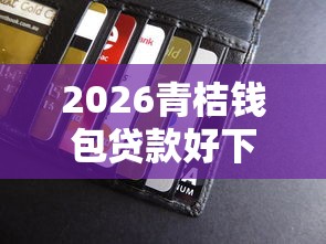 2026青桔钱包贷款好下款吗，差20000元就选这6个平台