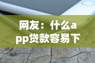 网友：什么app贷款容易下款？求介绍几款贷款平台不看征信,不看负债