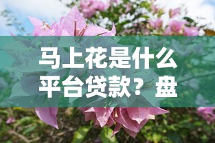 马上花是什么平台贷款？盘点最新10个有啥贷款平台容易过的