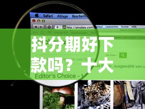 抖分期好下款吗？十大网黑逾期下款口子推荐