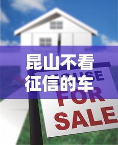 昆山不看征信的车贷？十大征信不良的黑户在平台可以借款推荐