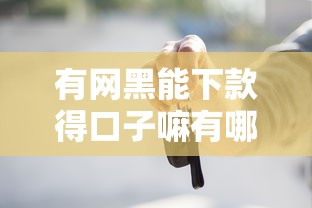 有网黑能下款得口子嘛有哪些？5个车子抵押贷款平台推荐给你