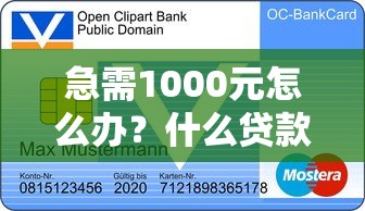 急需1000元怎么办？什么贷款软件可以微信到账没有银行卡试试这7个无门槛平台